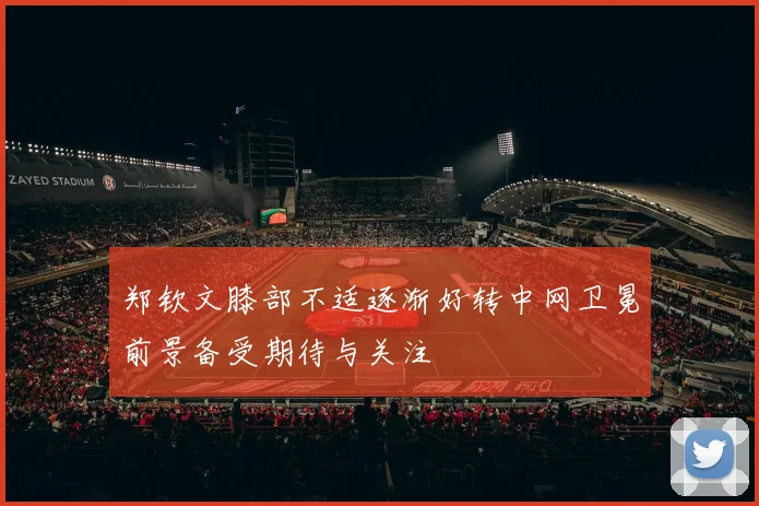 郑钦文膝部不适逐渐好转中网卫冕前景备受期待与关注